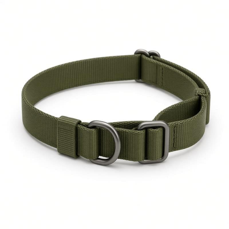 Martingale Collar