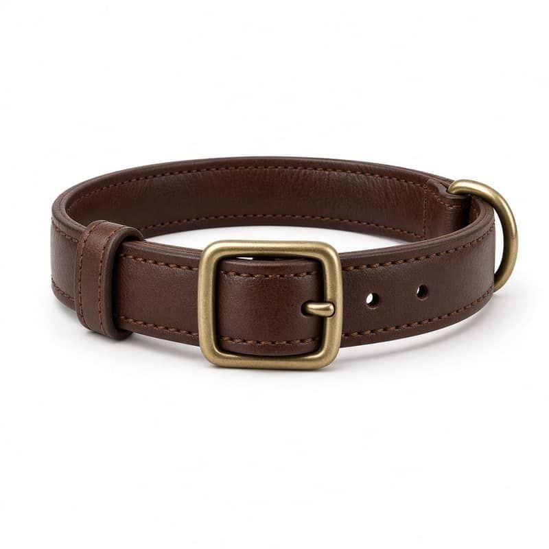 Classic Leather Collar