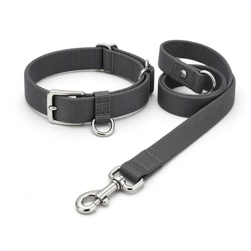 Urban Collar and Leash Set