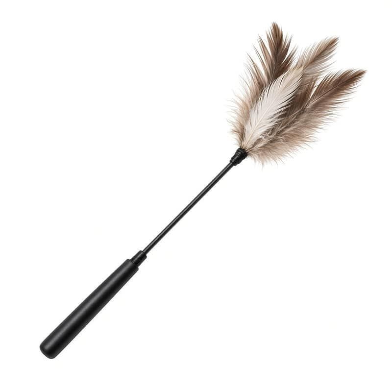 Feather Wand Cat Toy